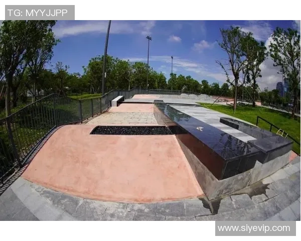 滑板战术与团队协作：深圳滑板队的成功运营模式探秘